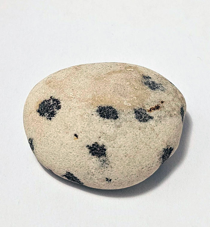 This Rock I Found That Resembles A Chunk Of Chocolate Chip Cookie Dough