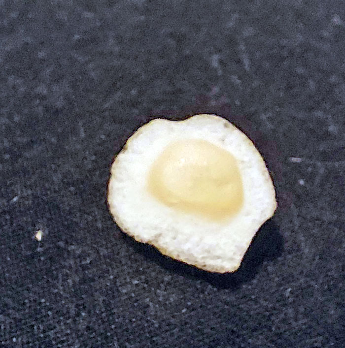 Esta piedra parece un huevo frito