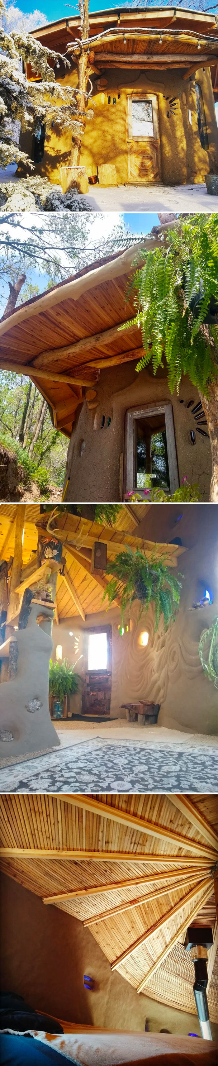 Rustic tiny house with wooden roof and lush plants, showcasing unique design elements.