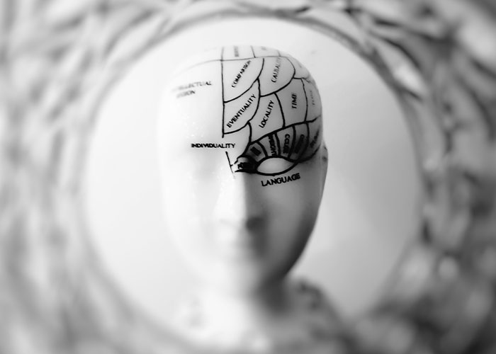 White mannequin head with phrenology map zones focused on brain areas, illustrating unique college courses concept.