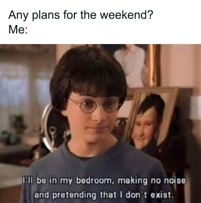 Meme about weekend plans with Harry Potter