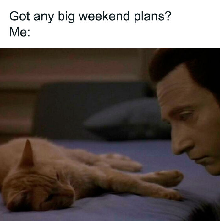 Weekend meme with Star Trek episode