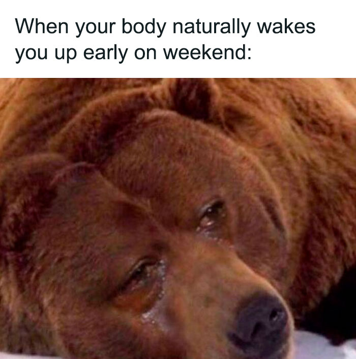 Weekend meme with crying bear