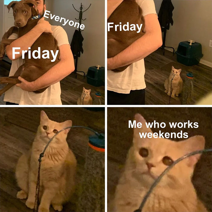 Meme with dog and cat about weekend 