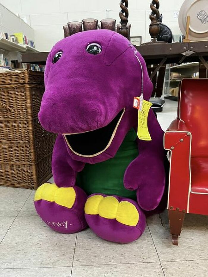 Weird-Secondhand-Finds-Pictures