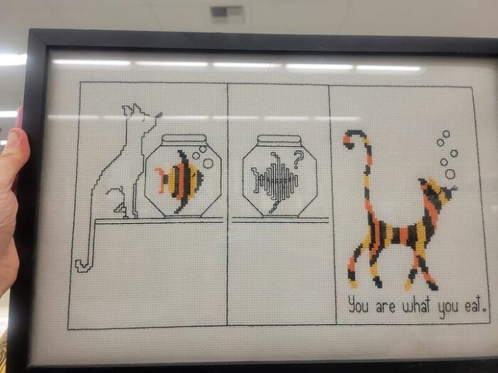 Weird-Secondhand-Finds-Pictures