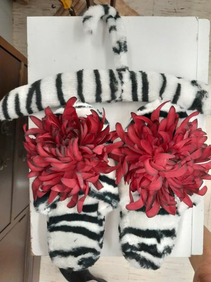 Weird-Secondhand-Finds-Pictures