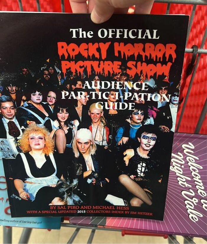 Weird-Secondhand-Finds-Pictures