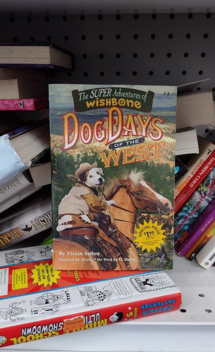 Weird-Secondhand-Finds-Pictures