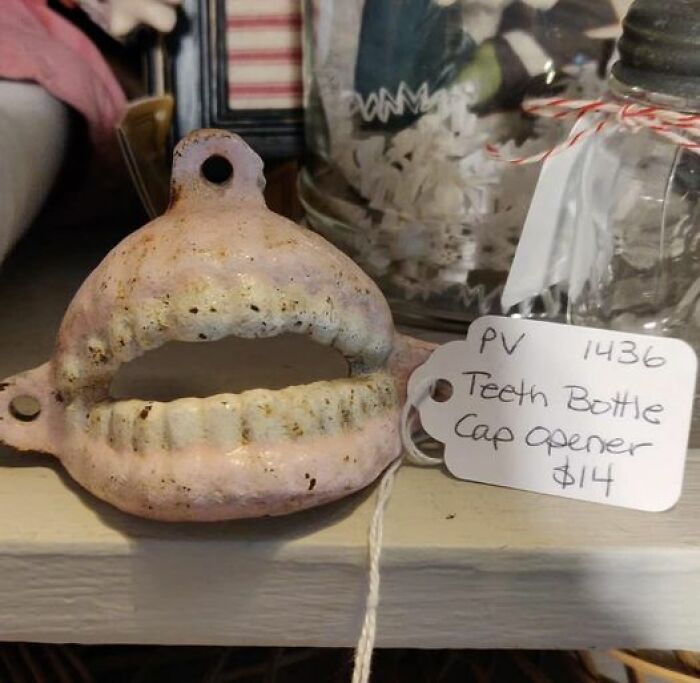 Weird-Secondhand-Finds-Pictures