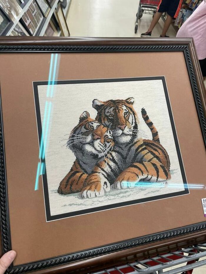 Weird-Secondhand-Finds-Pictures