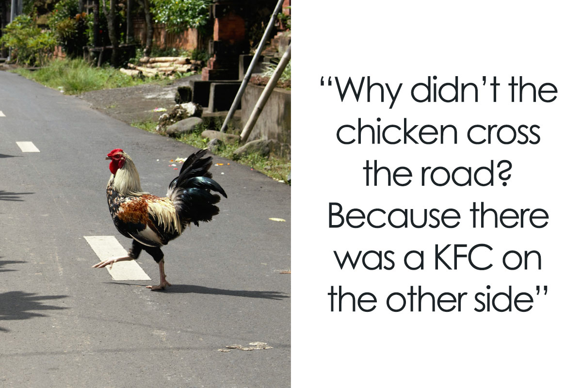 https://www.boredpanda.com/blog/wp-content/uploads/2023/06/why-did-the-chicken-cross-the-road-jokes-cover_800.jpg