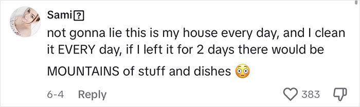 "My Husband Made A Comment That I Do Nothing Around The House. So For Two Days, I Really Did Nothing"