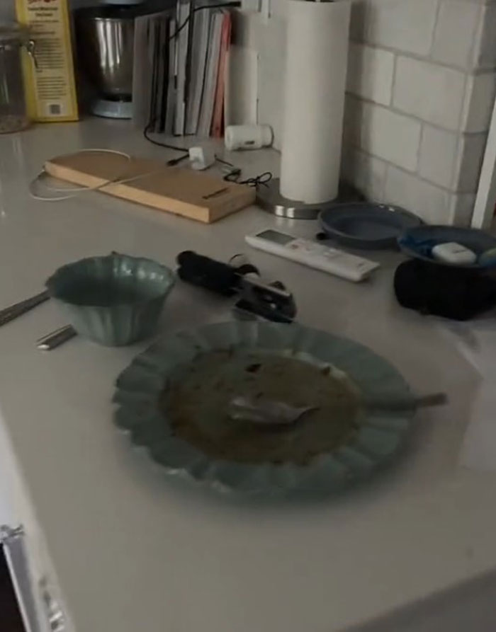 "My Husband Made A Comment That I Do Nothing Around The House. So For Two Days, I Really Did Nothing" "My Husband Made A Comment That I Do Nothing Around The House. So For Two Days, I Really Did Nothing"