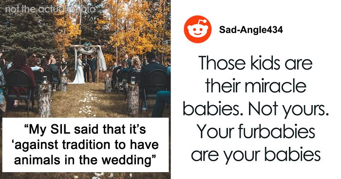 Couple Wants Their Animals To Play Roles At Their Wedding, SIL Is Pissed Her ‘Rainbow Babies’ Will Not Be Included