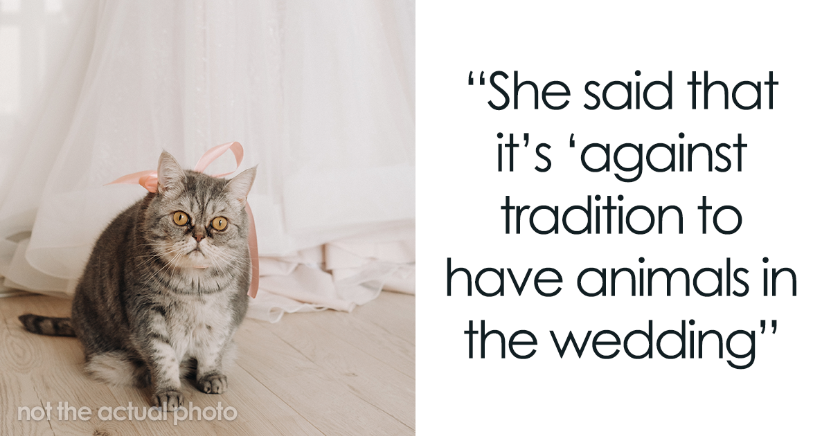 Bride-To-Be Asks The Internet For Advice On Wanting Her Pets To Be The Flower Girl And Ring Bearer Instead Of Her 'Rainbow Baby' Niece And Nephew - Vimarsana News