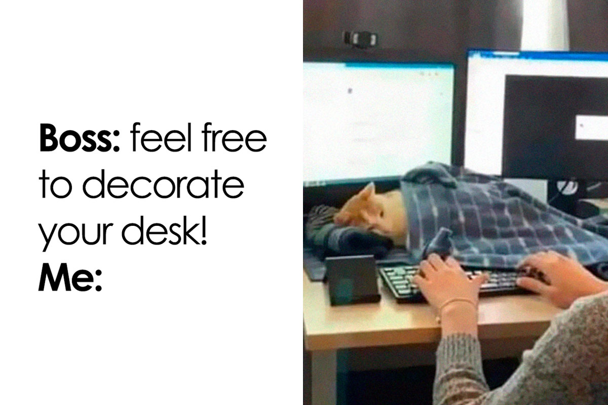 50 Tearfully Funny Memes And Posts About Work And Adult Life In General 50 Tearfully Funny Memes And Posts About Work And Adult Life In General