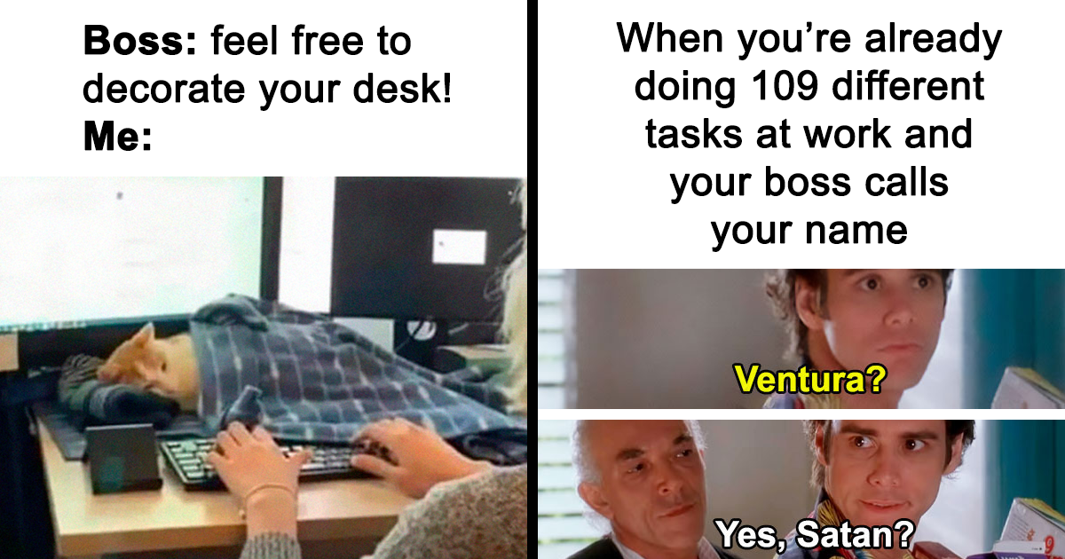 50 Tearfully Funny Memes And Posts About Work And Adult Life In General ...