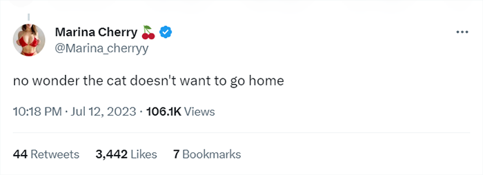 Couple Threatens To Call The Cops For Neighbor Allegedly ‘Harboring’ Their Cat Couple Threatens To Call The Cops For Neighbor Allegedly ‘Harboring’ Their Cat