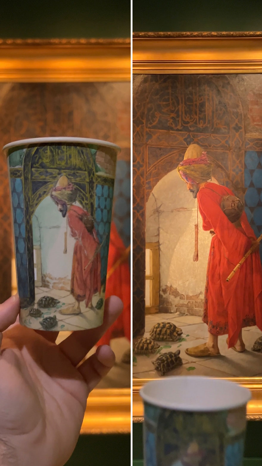 The Tortoise Trainer