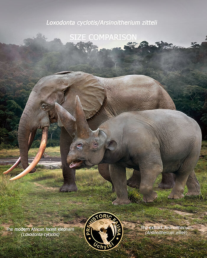 Size comparison of extinct Arsinoitherium and modern African forest elephant in prehistoric fauna illustration.
