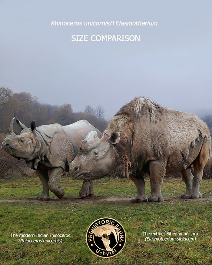 Size comparison of extinct Elasmotherium and modern Rhinoceros unicornis in prehistoric fauna illustration.