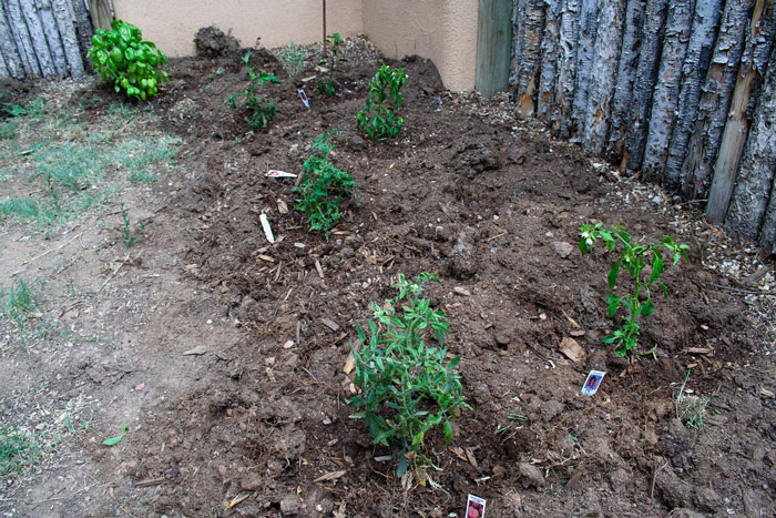 Neighbor Ruins Kid’s Botany Project Over And Over As Parents Keep Putting It In Her Parking Spot