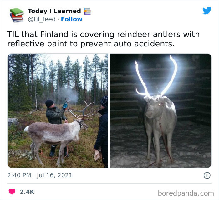 Today-I-Learned-Interesting-World-Facts