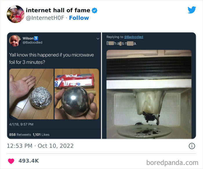 Internet-Hall-Of-Fame-Posts