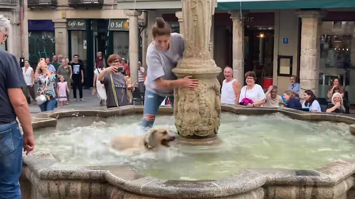 Crowd Can’t Stop Laughing At Dog Frolicking In A Fountain Crowd Can’t Stop Laughing At Dog Frolicking In A Fountain