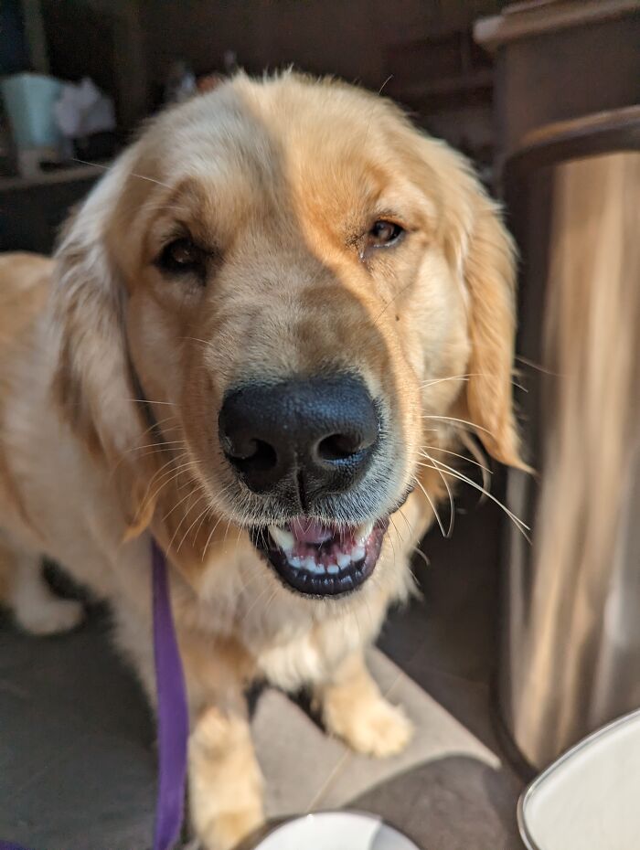 This Is Jelly, Jelly Is Smort