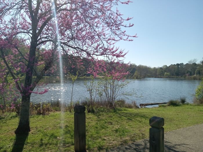 Not The Best, But I Think The Colors Just Look Really Vibrant