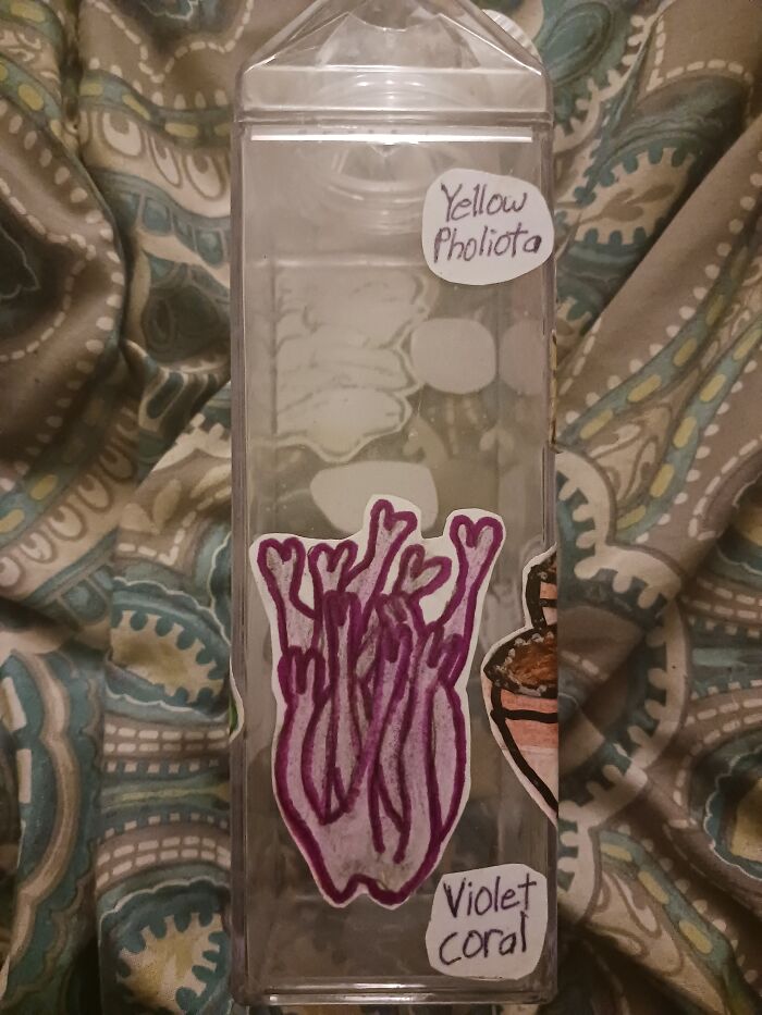 My Partner Loves Mushrooms, So I Drew These And Made Them Into Stickers. Then, Put Them On A Plastic Bottle That Looks Like A Carton Lol