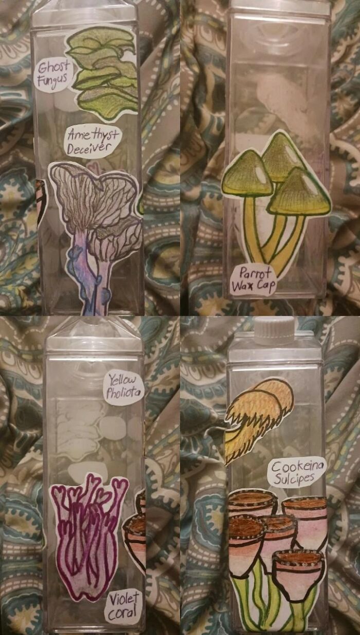 My Partner Loves Mushrooms So I Made These Stickers For His Water Bottle