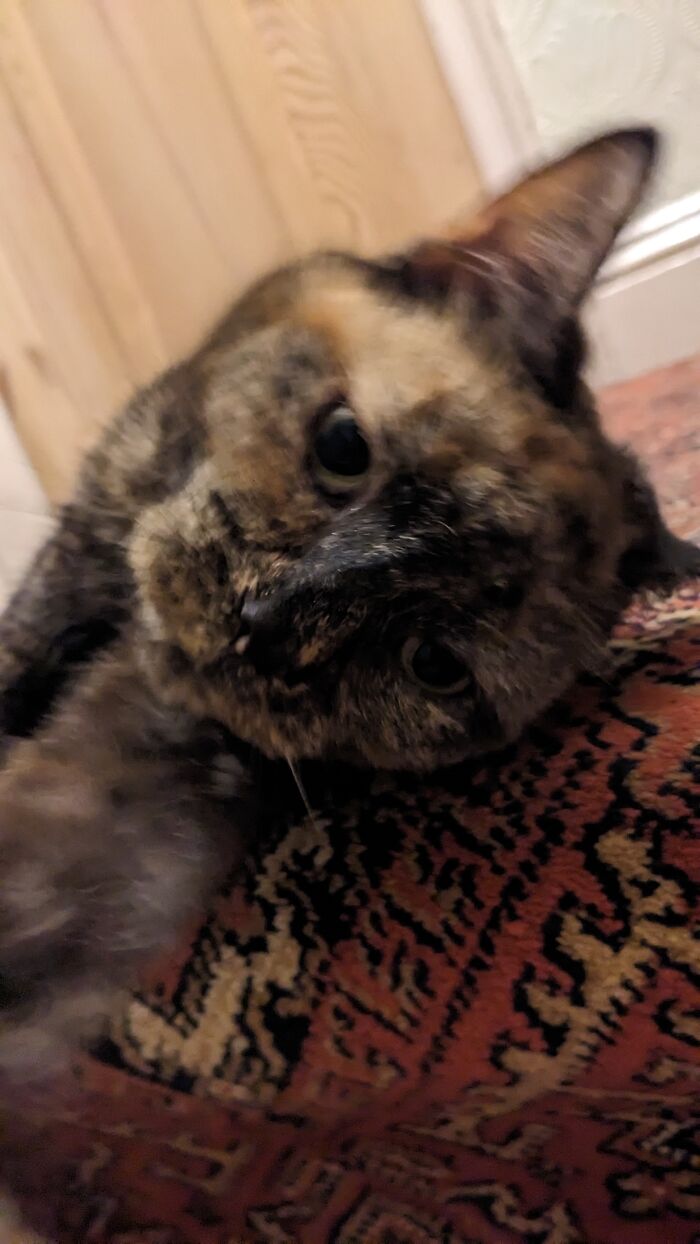 Lola.. What Have You Taken?