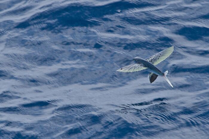 Members Of This Online Group Are Annoyed People Won’t Accept These 35 Facts That Are 100% True