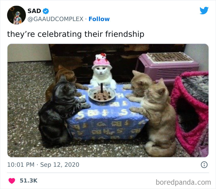 cats gathered around a table celebrating a birthday meme