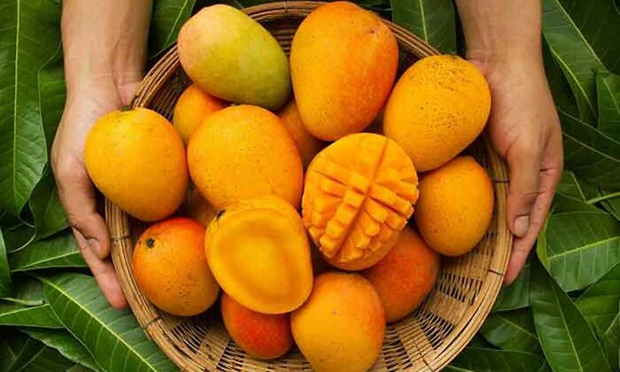 Ahhh.. The Season Of Ripe Mangoes
