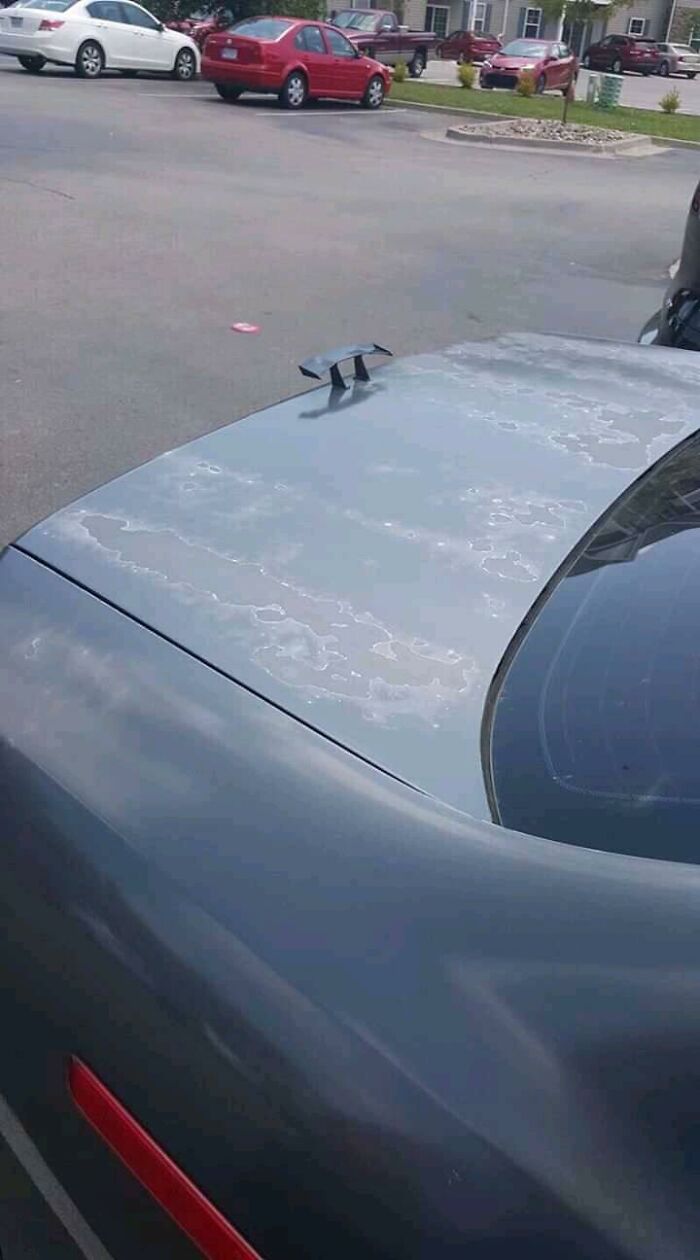 Unusual-Images-Facebook