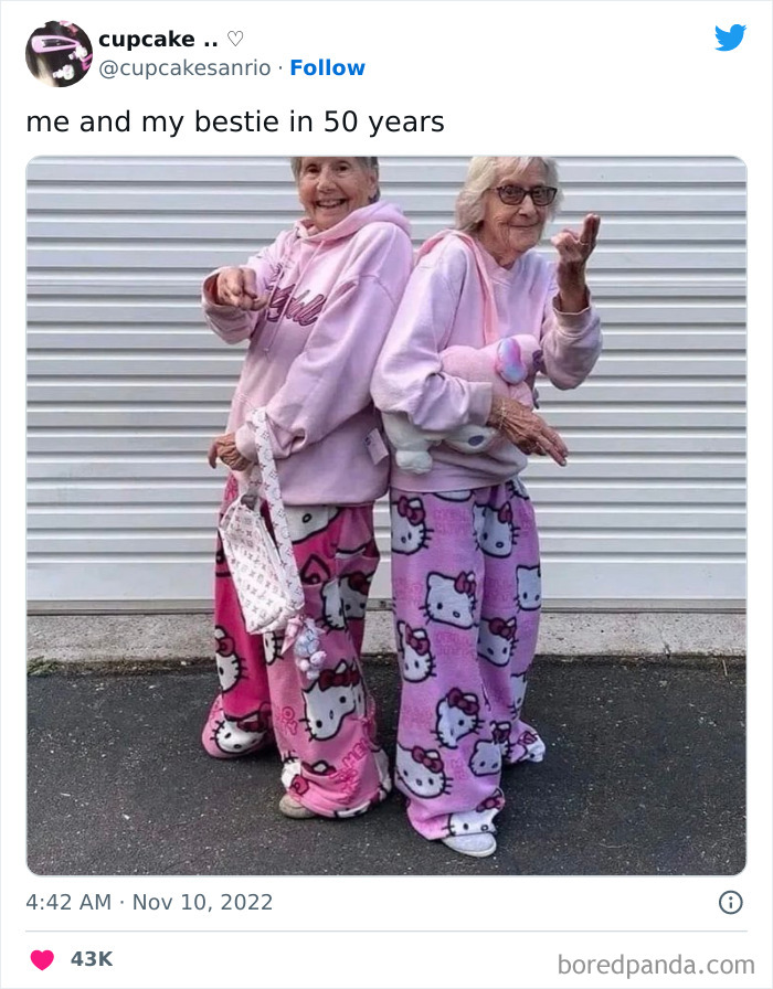 Two friends in matching Hello Kitty outfits, posing happily for a friendship meme.