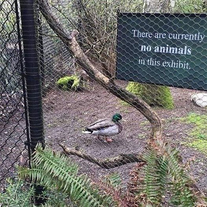 Rare-And-Unusual-Funny-Signs