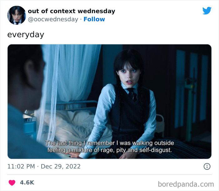 Wednesday Netflix meme