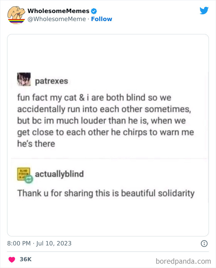 Adorable-Wholesome-Memes-Pics