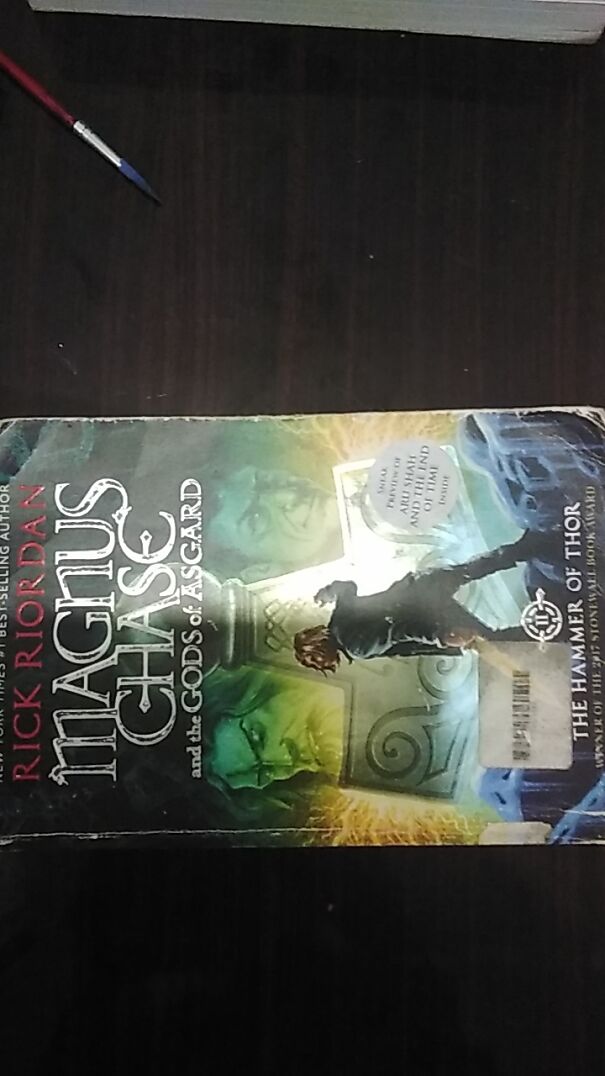 Magnus Chase And The Gods Of Asgard, The Second Book. Love The Story, Humor And The Darkness. Was Recommended To Me By A Friend