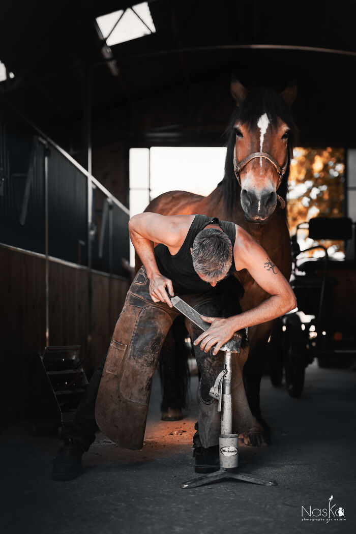 Light On The Job Of A Farrier (13 Pics) Bored Panda
