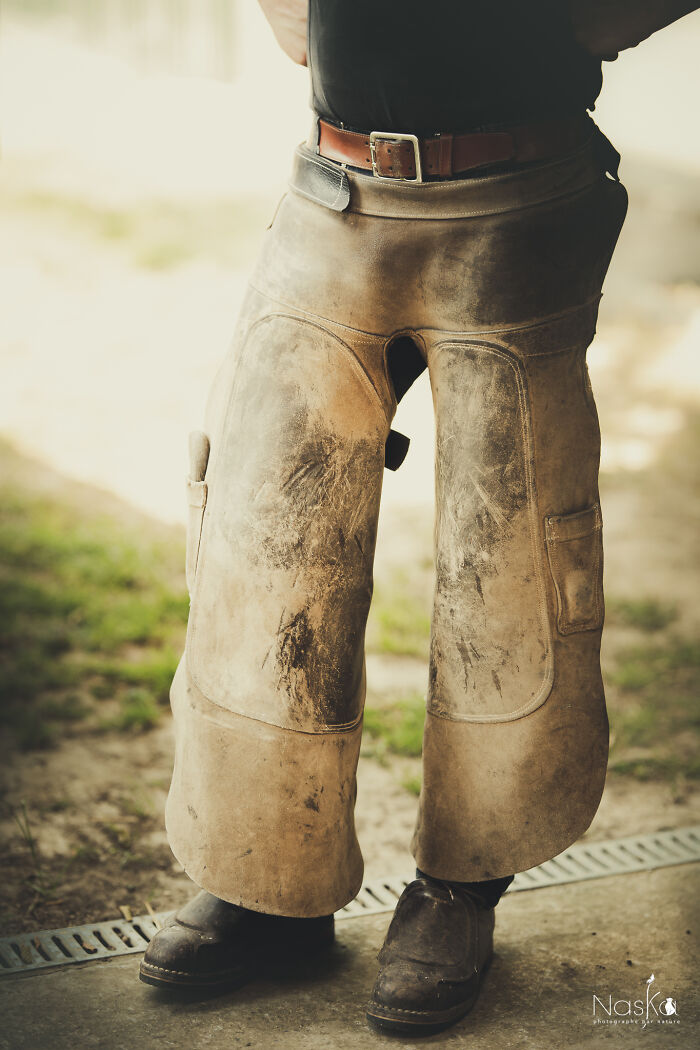 Light On The Job Of A Farrier (13 Pics)