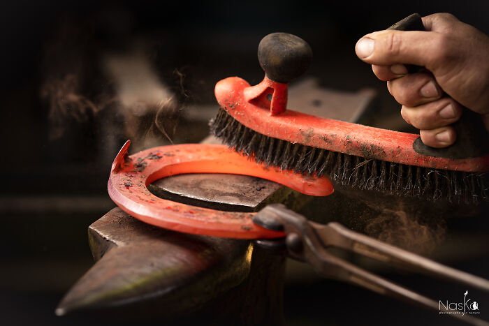 Light On The Job Of A Farrier (13 Pics)