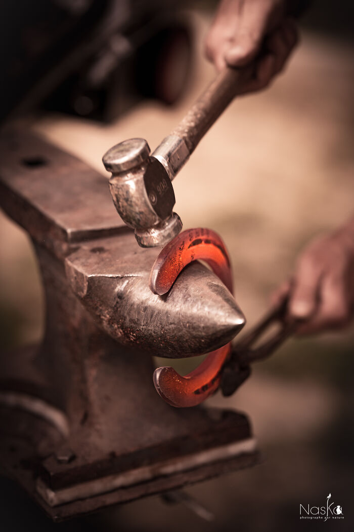 Light On The Job Of A Farrier (13 Pics)