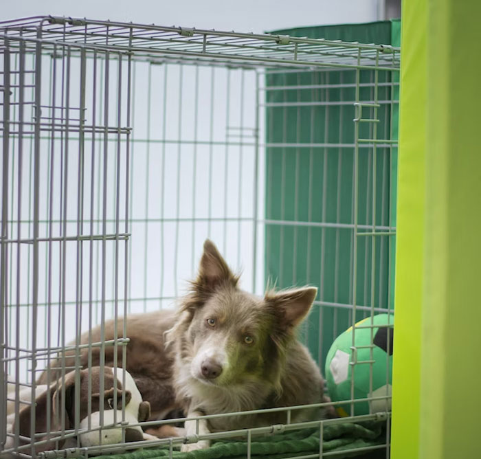 30 People Share Weird Family Things That They Didn't Realize Were Not Normal When They Were Kids