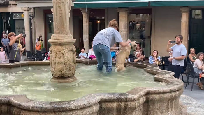 Crowd Can’t Stop Laughing At Dog Frolicking In A Fountain